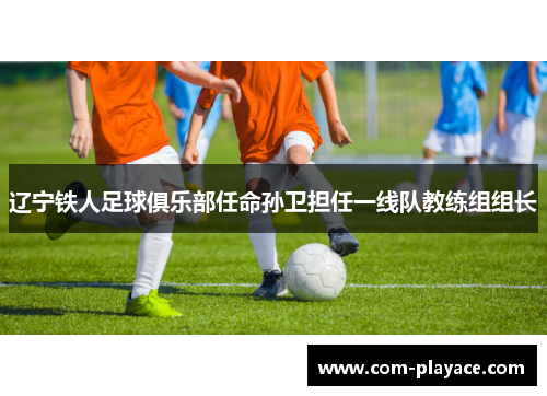 辽宁铁人足球俱乐部任命孙卫担任一线队教练组组长 辽宁铁人足球俱乐部任命孙卫担任一线队教练组组长